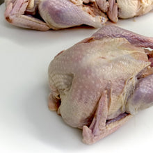 Load image into Gallery viewer, Halal, Prime Whole Turkey (~10-12lbs)
